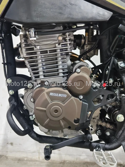 Мотоцикл Regulmoto ZZ PR 300 6 передач с ПТС