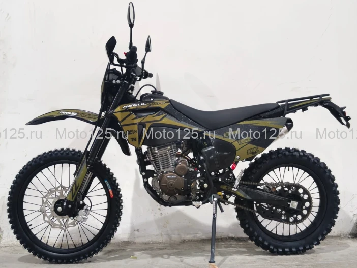 Мотоцикл Regulmoto ZZ PR 300 6 передач с ПТС
