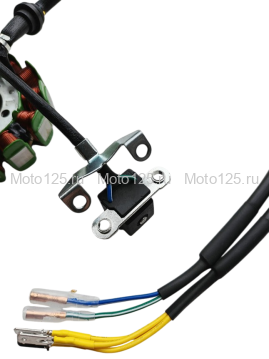 Статор / зажигание NB300 ZS (174MN-5) голое (без маховика) (статор) 12 катушек (100205047-0024)