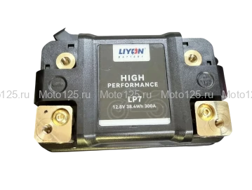 Аккумулятор LP7 LiFePo4 (12.8V 38.4WH 300A)