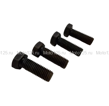 Болты крепления звезды ведомой M12, Sport 003