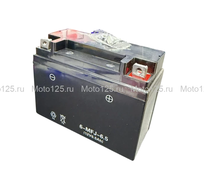 Аккумулятор гелевый 6-MFJ-6.5A  (12V6.5ah), Regulmoto TE