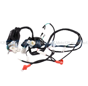 Жгут электропроводки Sport 003 PR250,300