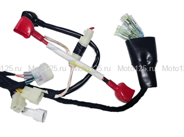 Жгут электропроводки Regulmoto Crosstrec