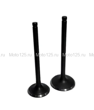 Клапана 172FMM / 175FMM (27мм/31,5мм) (2 клапана)