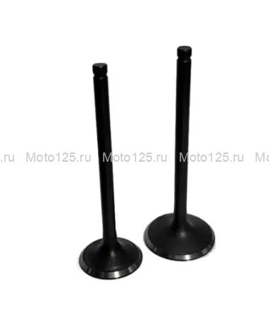 Клапана 172FMM / 175FMM (27мм/31,5мм) (2 клапана)