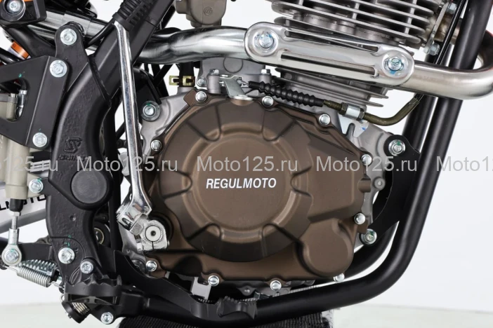 Мотоцикл Regulmoto SAI 200 с ПТС (RM)