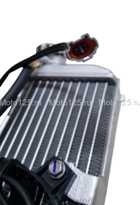 Радиаторы охлаждения ДВС Regulmoto Legend Pro компл YBS