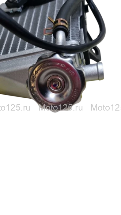 Радиаторы охлаждения ДВС Regulmoto Legend Pro компл YBS
