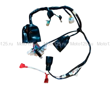 Жгут электропроводки Athlete PRo (c 2025 г.в с влагозащитным разъемом)