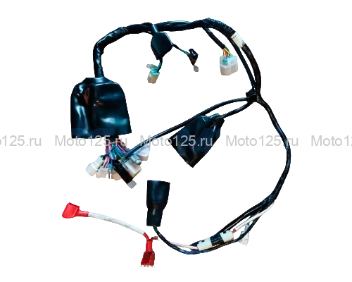 Жгут электропроводки Athlete PRo (c 2025 г.в с влагозащитным разъемом)