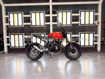 Мотоцикл Regulmoto FARGO 300 красный (RM)