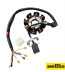 Статор генератора DC CDI ZS172FMM/165FMM/167FMM/167FMM/ZS174/ZC170 (5 проводов)+