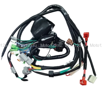 Жгут электропроводки Regulmoto Nibbi N300-S, NB300