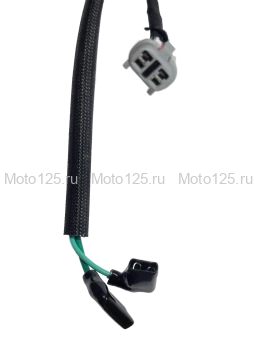 Жгут электропроводки Regulmoto Nibbi N300-S, NB300